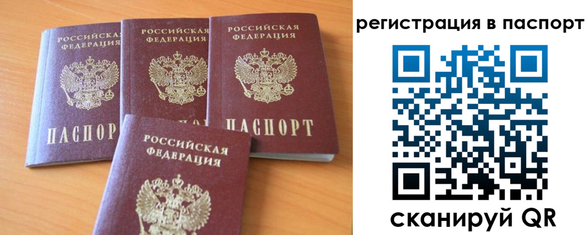 прописка гарантия в Высоковске
